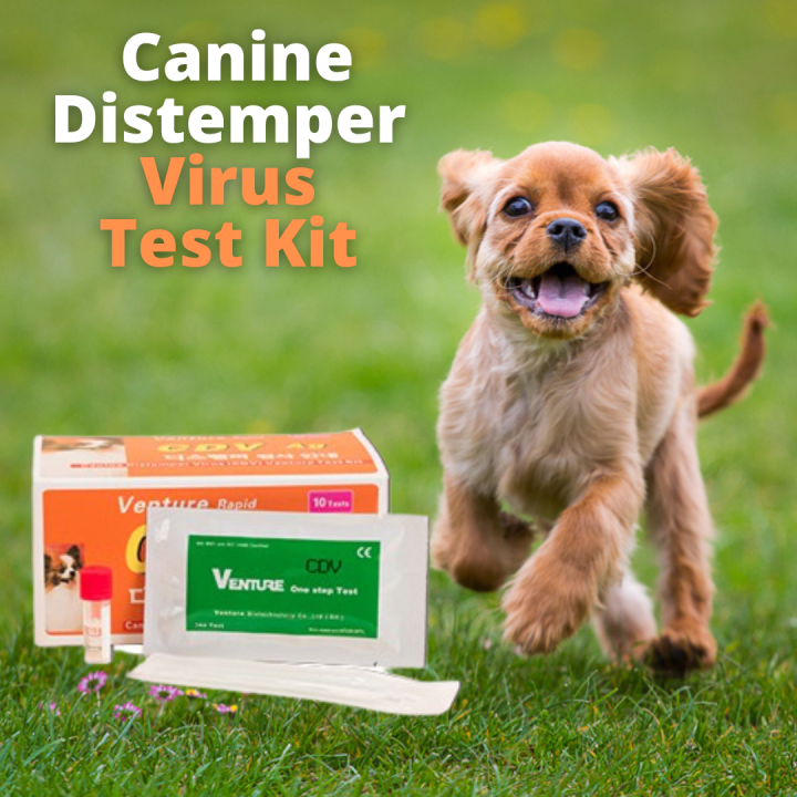 [BEAUTY PLUS PH] Canine Parvo Test Kit Home Health Detection For