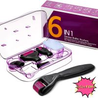 เสี่ยไก่ ไลฟ์ พาวิลเลี่ยน 6 in 1 Microneedle Derma Roller Kit Titanium Dermaroller Micro Needle