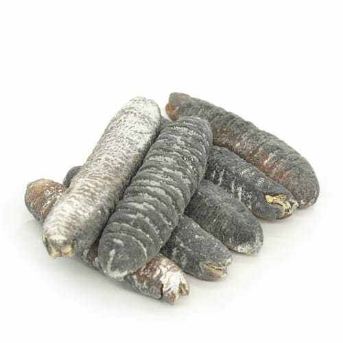 Frozen Sea Cucumbers (450500g) Lazada PH