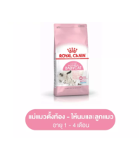 Royal Canin Starter Mother &amp; Baby Cat 10 kg โรยัล คานิน อาหารแม่แมวตั้งท้อง - ให้นมและ ลูกแมวอายุต่ำกว่า 4 เดือน