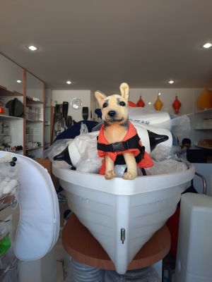 เสื้อชูชีพสัตว์เลี้ยง เสื้อชูชีพน้องหมา Pet retriever buoyancy aid & harness [Lalizas - 20020, 20021, 20022, 20023]