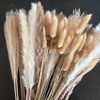 ✱ 100Pcs Fluffy Pampas Dried Flowers Bouquet for Wedding Ramadan Decoration Dining Home Table Decor Accessories Artificial Plants