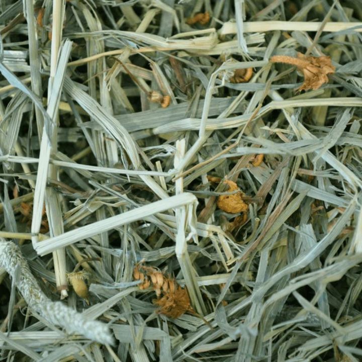 oxbow-botanical-hay-15-oz