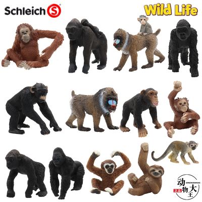 Sile Schleich orangutan mandrill gibbon orangutan sloth simulation animal model child toy monkey