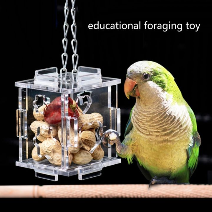 bird-foraging-ของเล่นอะคริลิคใสกล่องอาหาร-parrot-feeder-ปรับปรุง-intelligence-cage-แขวนของเล่นสำหรับ-cockatiel-parakeet