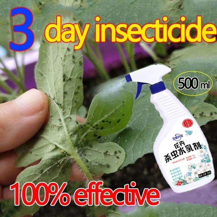 Organic insecticides for plants Vegetable flowers aphid insecticides are not harmful to plants