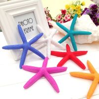 5Pcs ปลาดาวประดิษฐ์ Sea Star เครื่องประดับเรซิ่น Aquarium ตกแต่ง Beach Decor Nautical Home Decor Beach งานแต่งงาน Decor สุ่ม