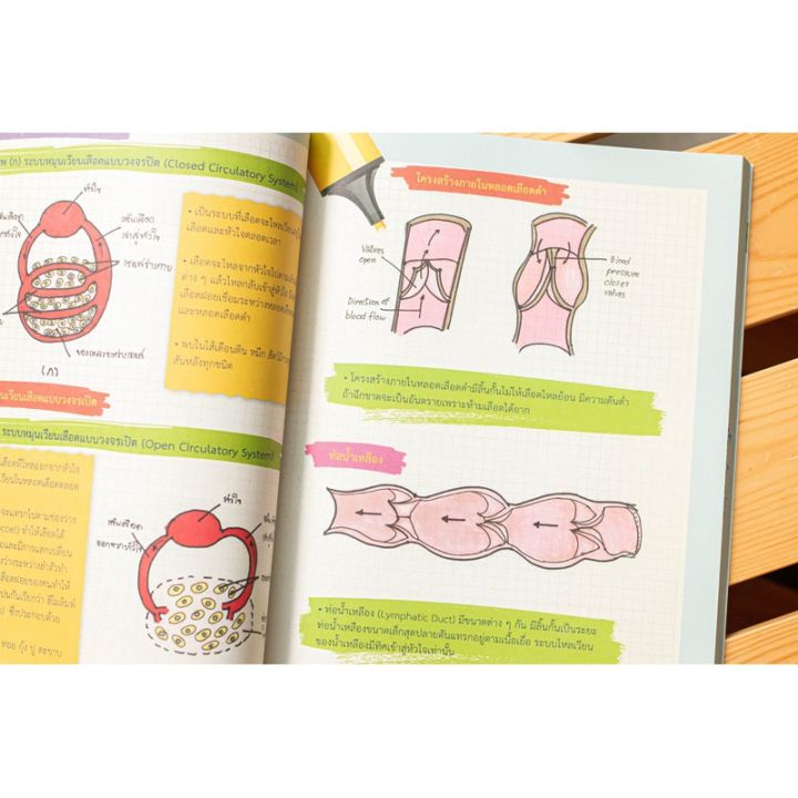 a-หนังสือ-drawing-of-biology-ภาพจำ-ชีววิทยา-พิชิตข้อสอบเต็ม-100