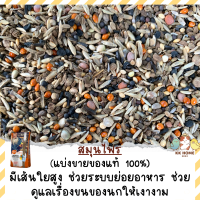 (แบ่งขาย) อาหารเสริมสมุนไพร HEALTH SEED MIX สมุนไพร ขนาด 100 / 250 กรัม สมุนไพรสำหรับนกแก้ว อาหารเสริมนก อาหารเสริมนกแก้ว นกแก้ว อาหานกแก้ว