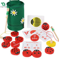 Ladybugs - Montessori นับของเล่นสำหรับเด็กวัยหัดเดิน-ไม้การศึกษาการเรียนรู้ของเล่น