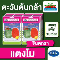 ผักซอง ตะวันต้นกล้า SP แตงโม จินตหรา บรรจุแพคล่ะ 10 ซอง ราคา 64 บาท