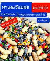 อาหารนก parrot mixทานตะวันผสม ขนาด1กิโลกรัม 500กรัม สูตรพิเศษนกแก้วชอบมากกกินได้เลิฟ ฟอฟัน ซัน กรีนชีค ค๊อก เกย์ กระตั้ว ฮั้น ริงนค มาคอร์