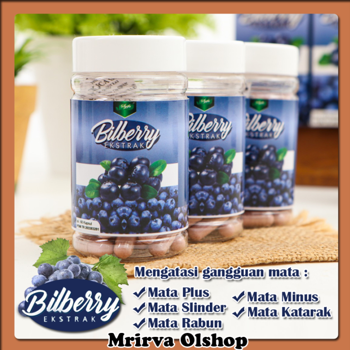 Ekstrak Buah Bilberry Suplemen Herbal Menjaga Kesehatan Mata Lebih