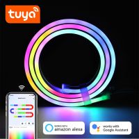 DC 12/24V Tuya RGBIC LED Neon Strip WiFi APP Control 1-10M RGBIC Lamp Tape Work With Alexa For Home dynamic Deocor Lighting LED Strip Lighting