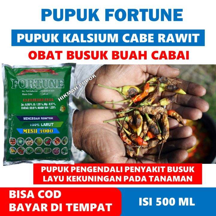 Terlaris Fortune Kg Obat Semprot Patek Busuk Cabe Rawit Terong