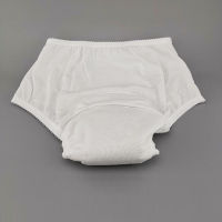 Adult Waterproof Womens panties Can Wash Cloth Cover Urine Does Not Wet reusable diaper Pants Incontinence Diaper Underpants