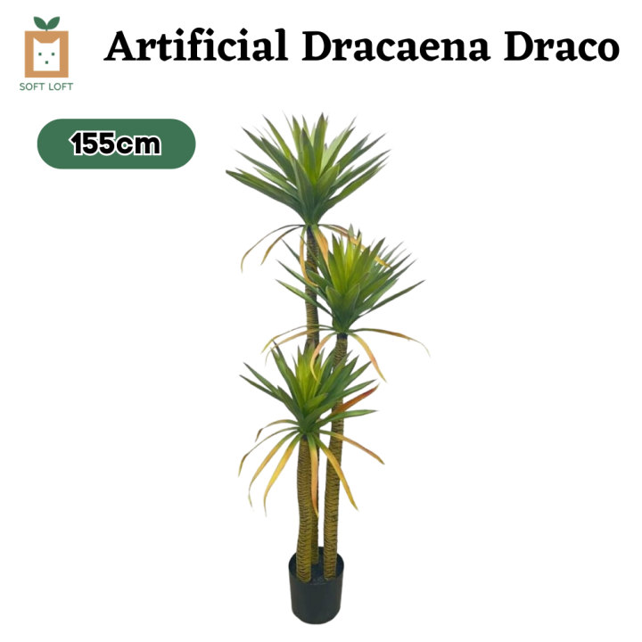 [SG SELLER] Artificial Dracaena Draco Large Artificial Plant Fake Plant Faux Potted Plants Fake