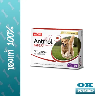 หมดอายุ11/2024 [1กล่อง] Antinol วิตามินบำรุงข้อสำหรับสุนัข บรรจุ 60 เม็ด/กล่อง