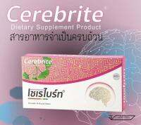 Cerebrite เซเรไบร์ท