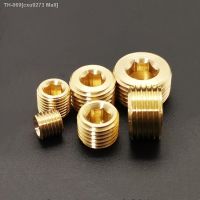 ✜☋✉ M8 M10 M12 M14 M16 M18 M20 M22 Metric Male Thread Brass Pipe Fitting Plug Internal Hex Socket End Cap Connector Adapter