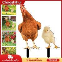 Chaoshihui 2pcs Lifelike acrylic ไก่สเตคตกแต่งสวนกลางแจ้งแทรกสนามลานเค้าโครงสวนสเตคเดิมพัน