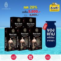 ส่งฟรี Swiss Energy Black Garlic (5 กล่อง ฟรีของแถมพรีเมี่ยม) กระเทียมดำ ซอฟท์เจล ลดความดัน ลดไขมัน  ระบบหลอดเลือด เบาหวาน กลิ่นไม่แรง