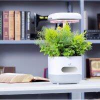 Ecocube Hydro SMART-GROW กระถางปลูกต้นไม้อัตโนมัติ ระบบไฮโดรโปนิค