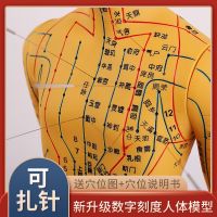 Acupuncture practice mold structure of human body acupoints meridian model of human body medical soft plastic doll can acupuncture needles