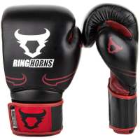 Destroyer Boxing Gloves