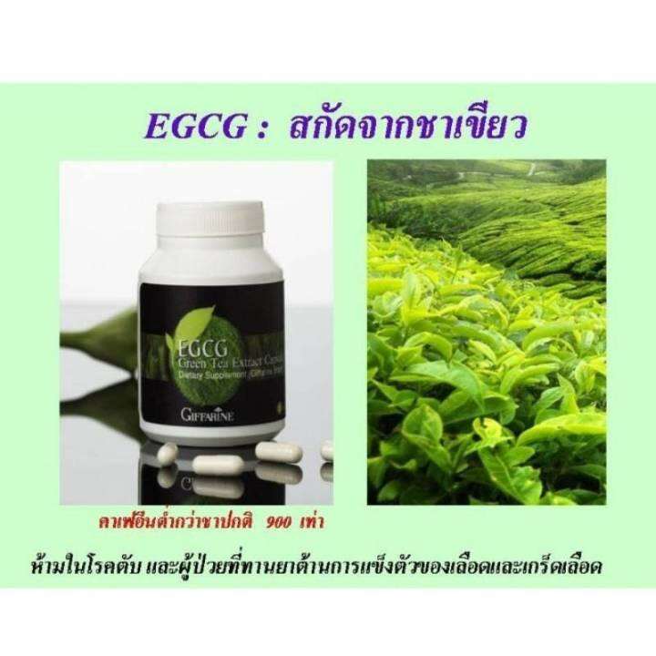 กิฟฟารีน-ชาเขียวลดไขมัน-ชาเขียวลดหุ่น-ชาเขียวสุขภาพ-ชาเขียวสกัด-egcg-ชนิดแคปซูล