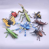 Simulated Insect Fake Beetle Grasshopper Figurines Miniatures Childrens Cognition Props