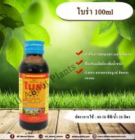 โบร่า 100ml. สารเร่งดอก ดอกเยอะ ดอกสมบูรณ์ เกสรแข็งแรง ผลดก ป้องกันดอกร่วง เพิ่มน้ำหนัก โบรอน allaboutplants