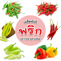 รวมเมล็ดพันธุ์พริก บรรจุ 100-1,000 เมล็ด