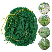 【CW】 Trellis Netting Pea Garden Net Fruits Vegetables Climbing New N8O4