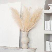 [AYIQ Flower Shop] 1Pcs ดอกไม้ประดิษฐ์พืช Pampas Grass Home Decor ปลอม Flores Artificiales คริสต์มาสงานแต่งงาน Fleur Artificielle ตกแต่ง