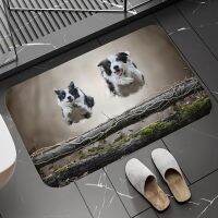 Non-slip And Washable Kitchen Mat Balcony Home Decoration Bathroom Carpet Living Room Doormat Border Collie Entrance Door Mats