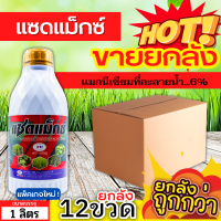 ? ?? สินค้ายกลัง ?? แซดแม็กซ์ (แมกนีเซียม8%) ขนาด 1ลิตรx12ขวด ใบเขียวเข้ม เขียวทนนาน