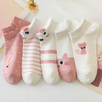 【Sock shop】5คู่/ล็อตน่ารักการ์ตูนฮาราจูกุแมวถุงเท้าสำหรับผู้หญิงตลกฤดูใบไม้ผลิแมวต่ำตัดสั้น Kawaii ผู้หญิงถุงเท้า