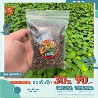 (โปร++) [เหลือ 290 .- ใส่โค้ด OCTWOW90] เมล็ดพันธุ์มะละกอแขกนวลดำเนินต้นเตี้ย(ส้มตำ เนื้อกรอบ) 15g ส่วนลด เมล็ดพันธุ์ พันธุ์ข้าว เมล็ดหญ้า เมล็ดข้าวโพด