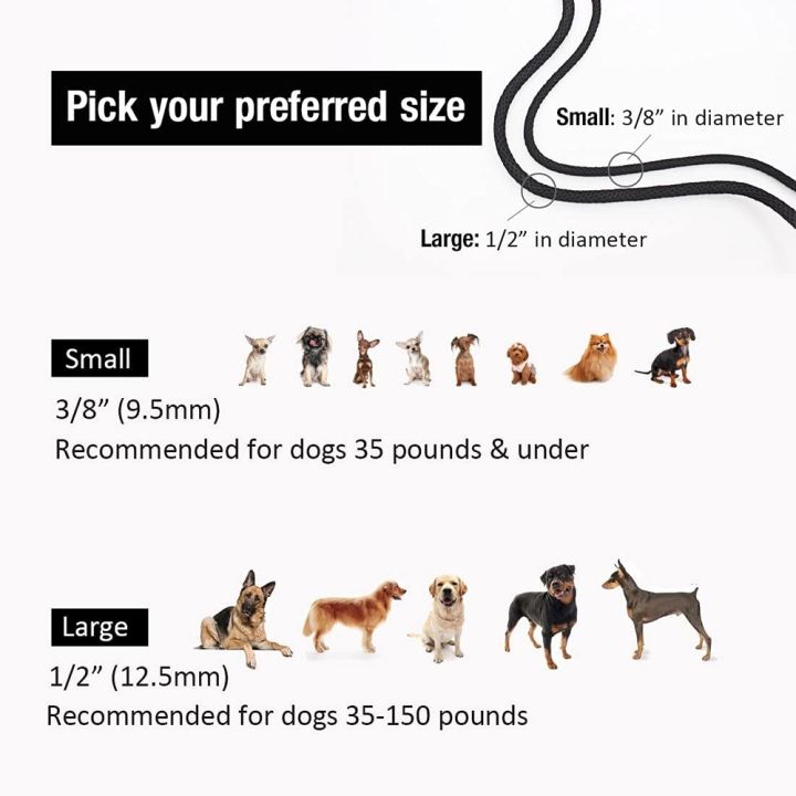 papi-pet-เชือกสำหรับติดซิปสุนัขสายจูงปรับได้มีห่วงขนาด6ฟุต-สายจูงแบบสบายรองรับการดึงสุนัขขนาดใหญ่ขนาดกลางที่แข็งแรงที่สุด