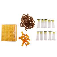 Beekeeping Cup Kit 120 Cell Cups Bee Tool Set Queen Rearing System Bee Nicot Complete Catcher Cage Apiculture Helper