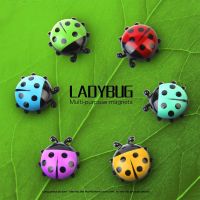 ☜☂✖ Ladybug Message Board Post-It Note Creative Photo Sticker Home Decor Fridge Magnet Refrigerator Decoration Gift For Kitchen