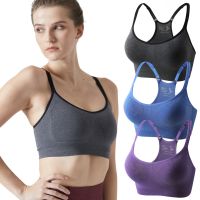 Outdoorbuy Women S Sports Bras Activewear Bra Yoga Tank Top Workout Gym Bras Seamless