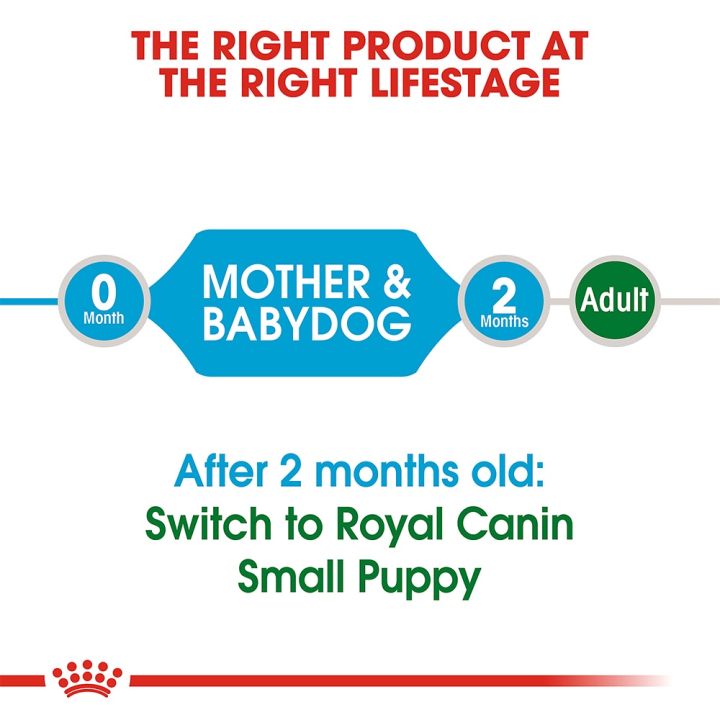 1kg-royal-canin-mini-starter-รอยัล-คานิน-อาหารลูกสุนัขพันธุ์เล็กอายุ1-2เดือน-และแม่สุนัขตั้งท้อง-เม็ดเล็ก-1กก-1ถุง