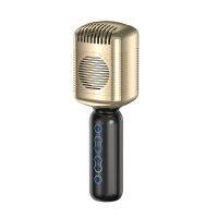 Portable Audio Integrated Bluetooth Microphone for Children Adults to Sing Compatible with for Android/Ios