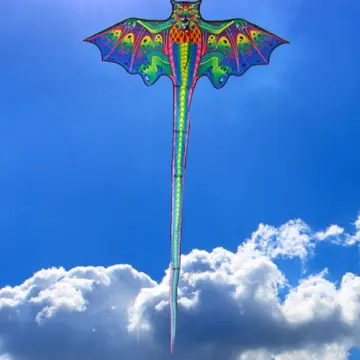 Buy Dragon Kite online