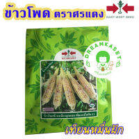 ข้าวโพดเทียนลูกผสม”เทียนหมื่นฝัก” 1ฝักมี 3 สี ???1 ต้น มี 2 ฝัก เหนียว นุ่ม หวาน (ขนาด 200 กรัม)