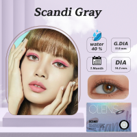 OLENSเลนส์นำเข้าจากเกาหลี+แถมตลับ รุ่นScandi สีGrayเทา พอดีตาดำ