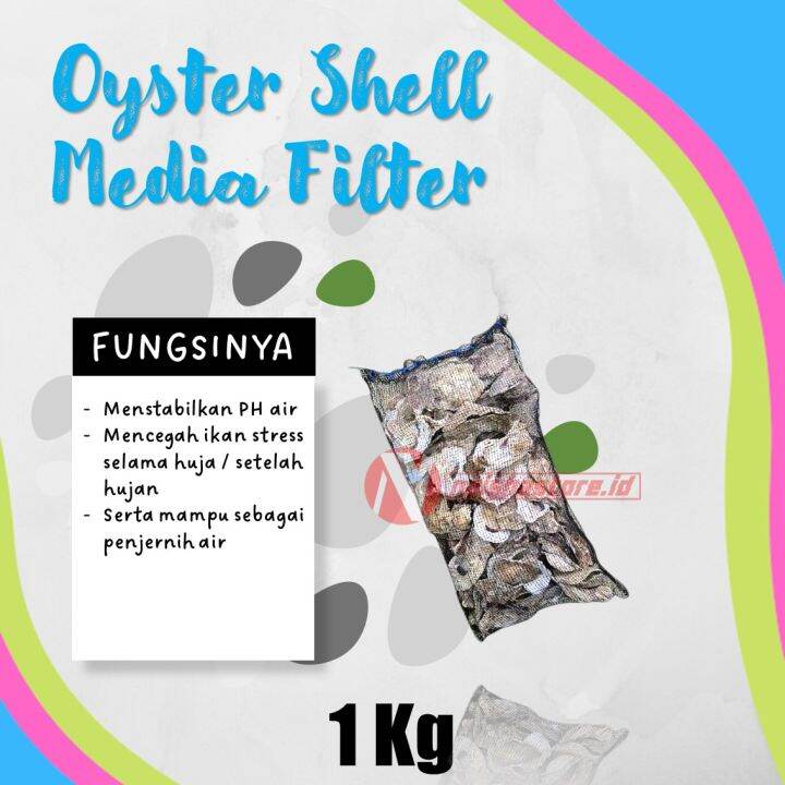 CANGKANG KERANG TIRAM OYSTER SHELL KARANG TIRAM UNTUK MENAIKAN PH AIR