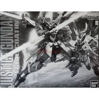 MG Justice Gundam Special Coating GUNPLA EXPRESS